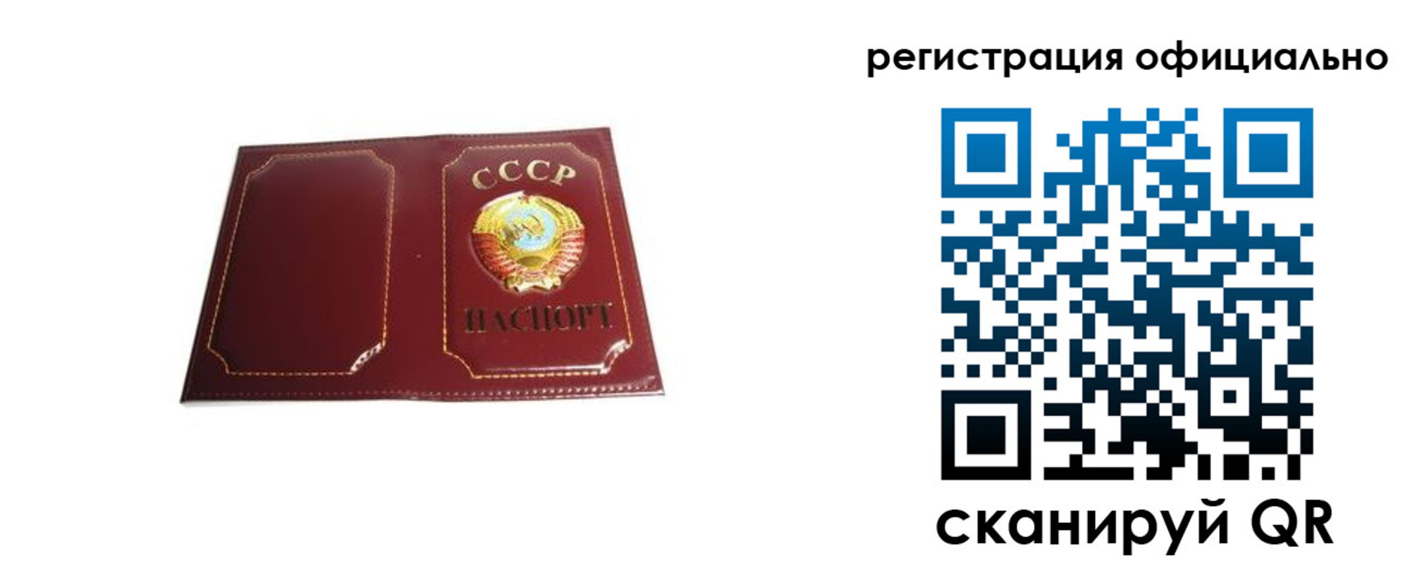 прописка в Каргополе